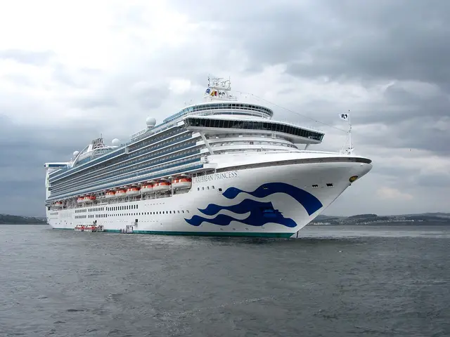 Caribbean Princess navegando