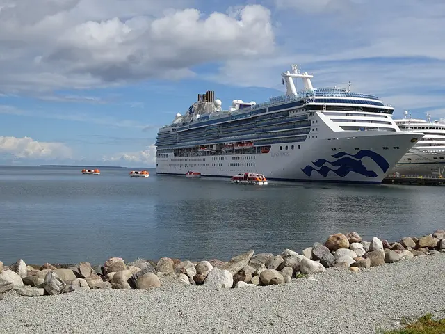 Island Princess navegando