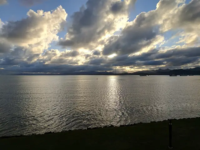 Suva