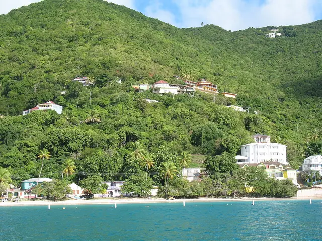 Tórtola